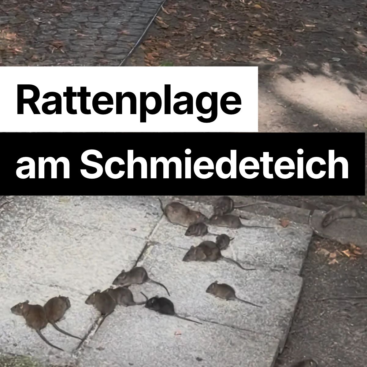 F�TTERN VERBOTEN !